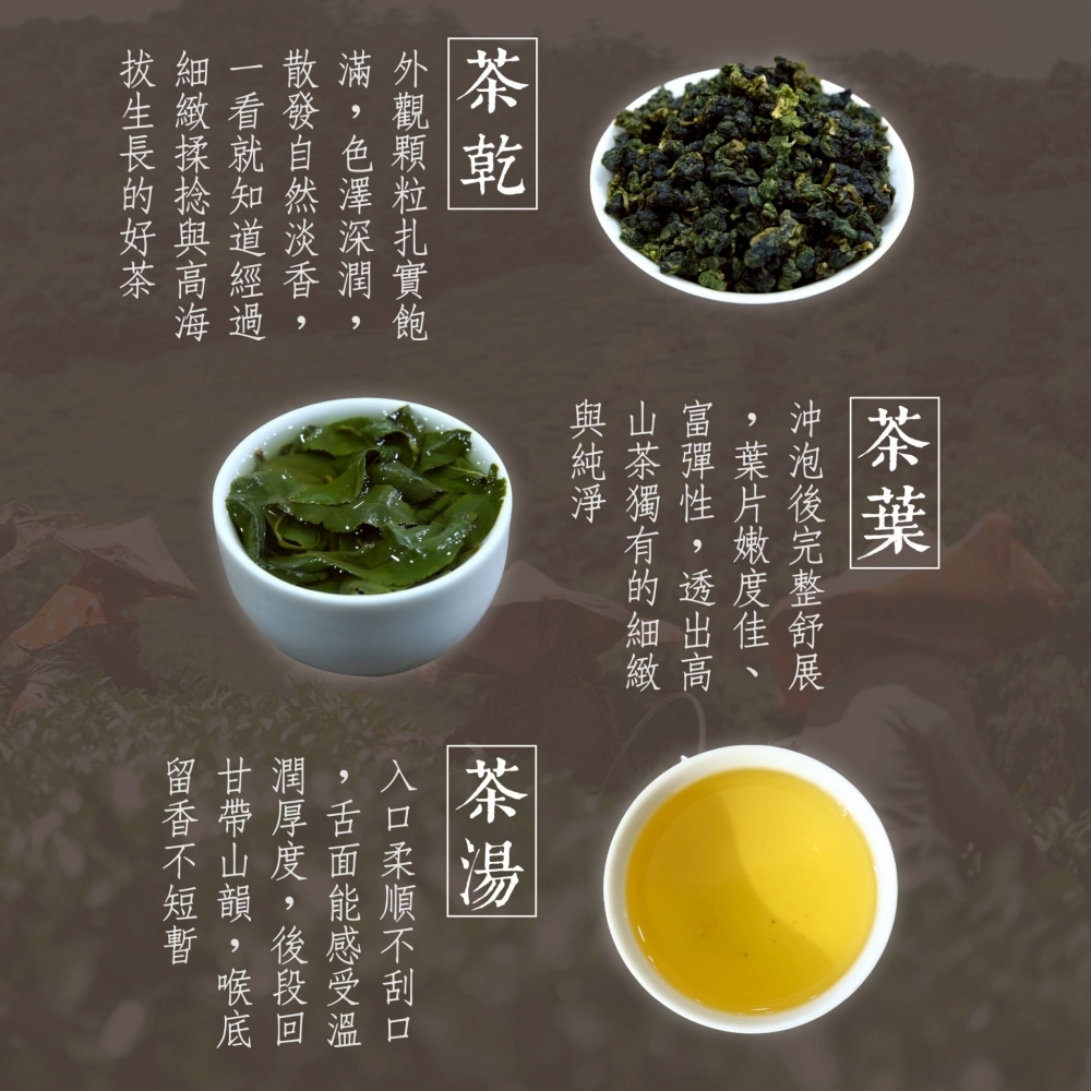 『大禹嶺 高山茶毒王』迎風面茶園冷度極高這茶簡直是放毒一口一口讓你上癮