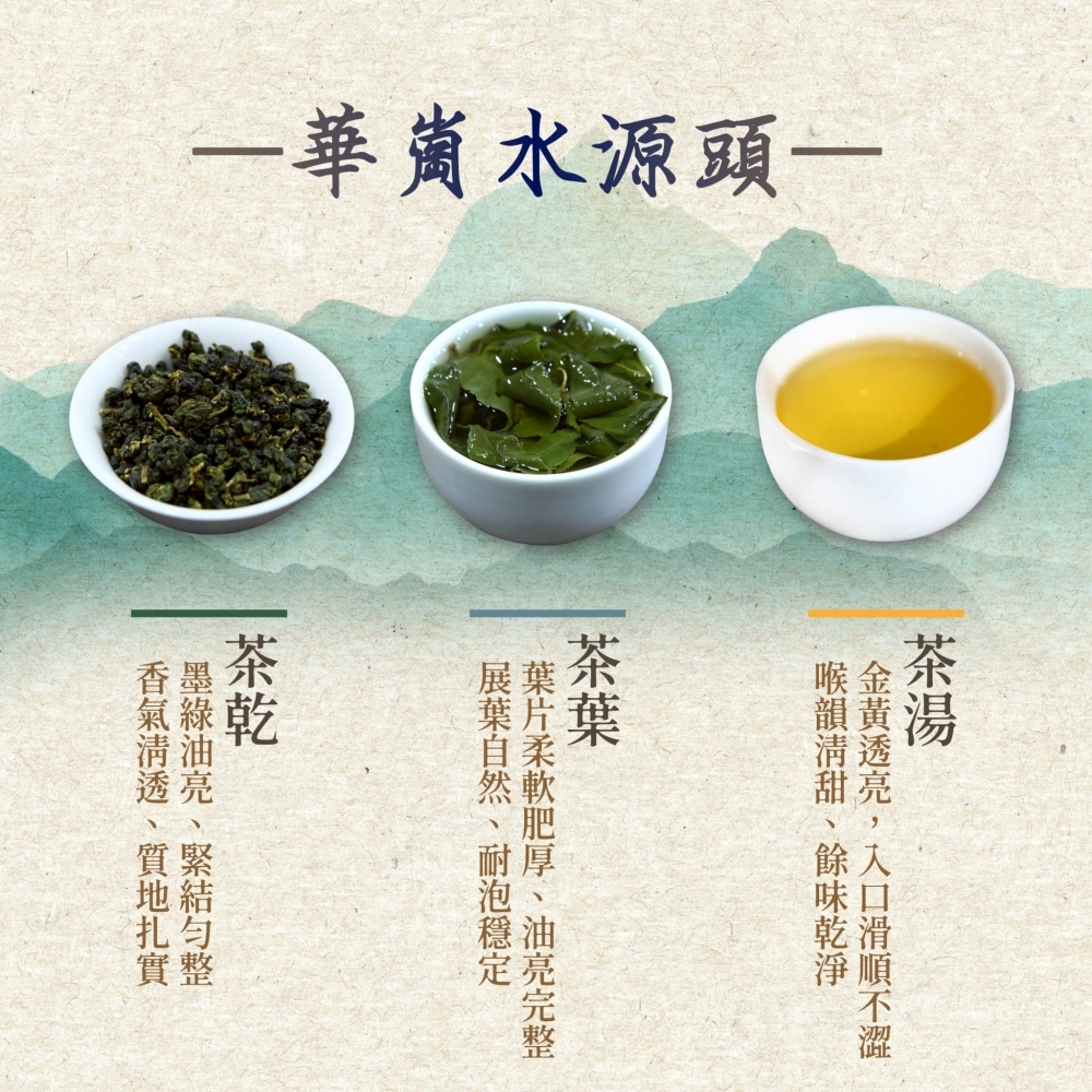 『華崗水源頭』高山茶原始森林喉韻，飽滿葒氣綿延不絕