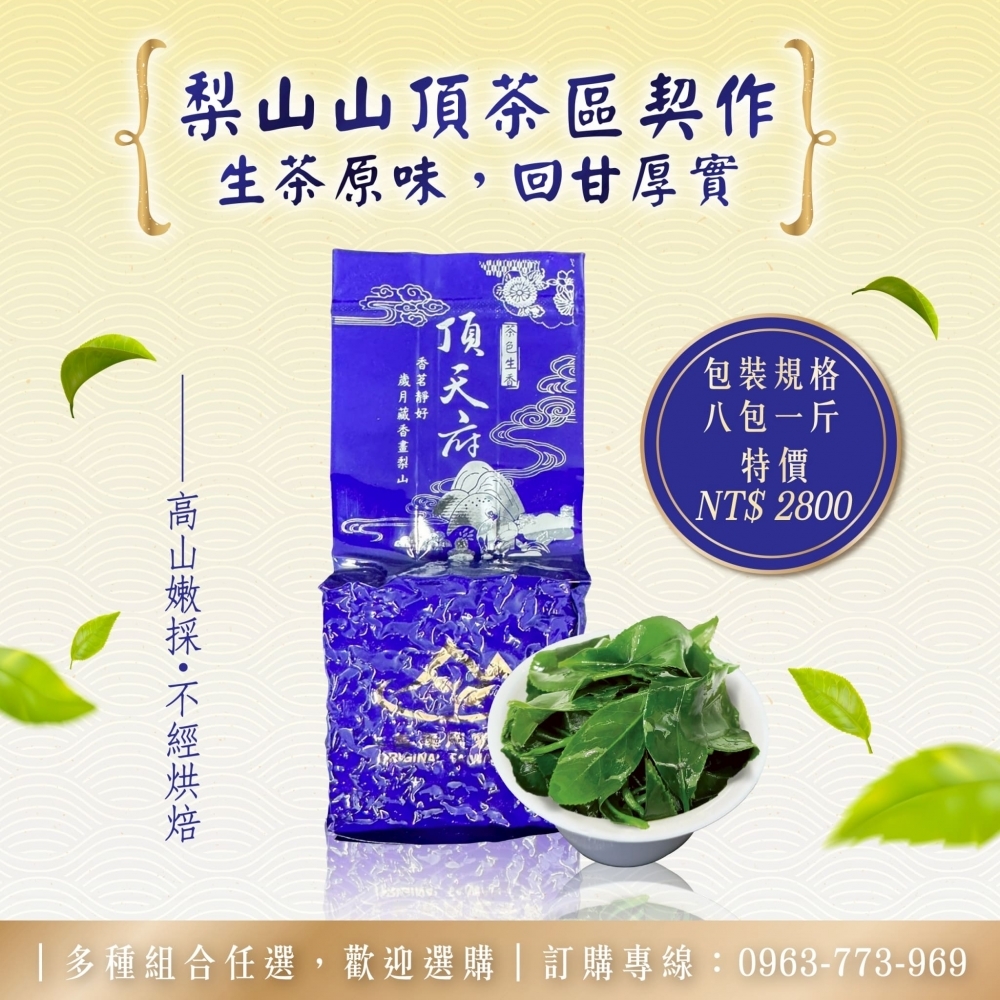 『梨山茶王上頂天府』梨山大樹旁山頂茶區