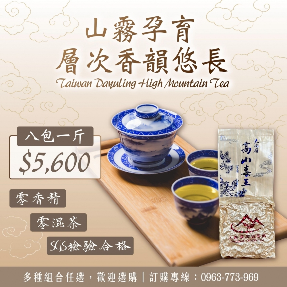『大禹嶺 高山茶毒王』迎風面茶園冷度極高這茶簡直是放毒一口一口讓你上癮